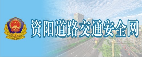 美女搞屄资阳道路交通安全网